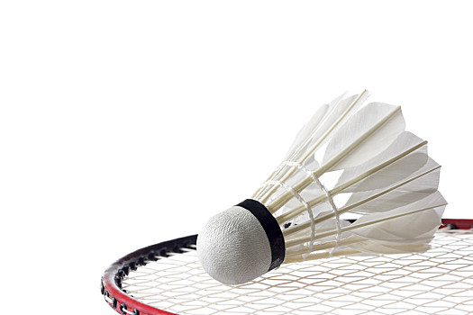 这种经济效 这种经济效