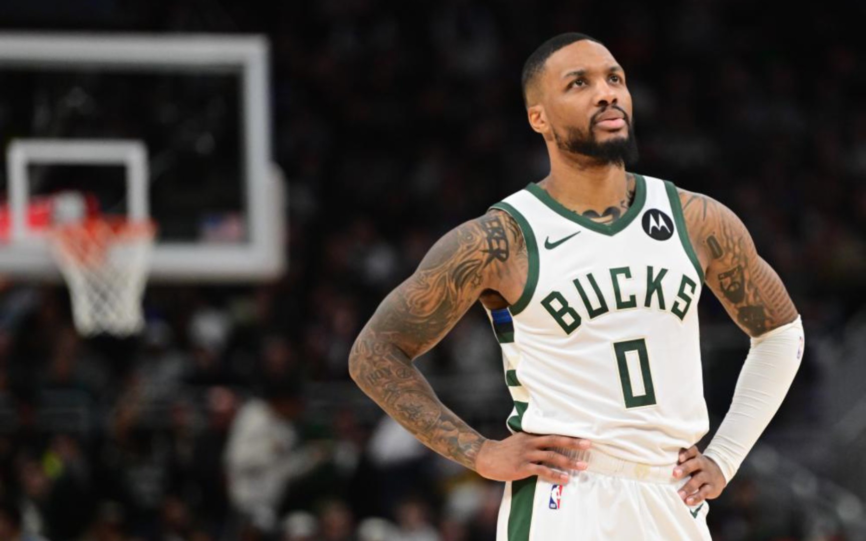 疑验证了 疑验证了